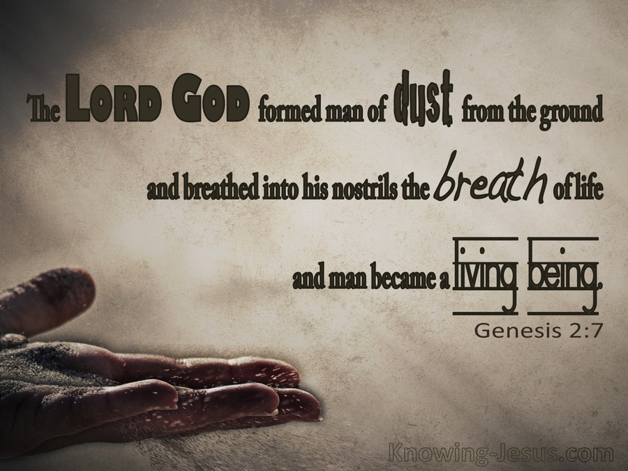 Genesis 2:7 The Lord God Formed Man From The Dust (brown)